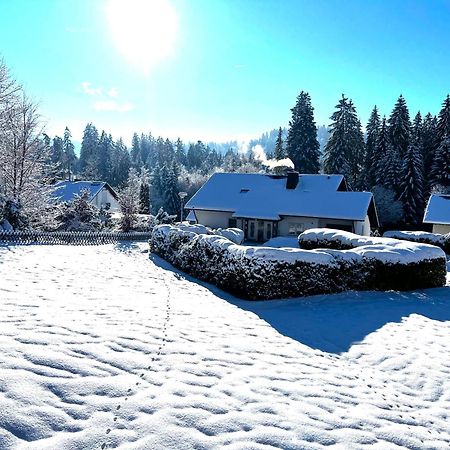 Michels Apartment Titisee-Neustadt Bagian luar foto