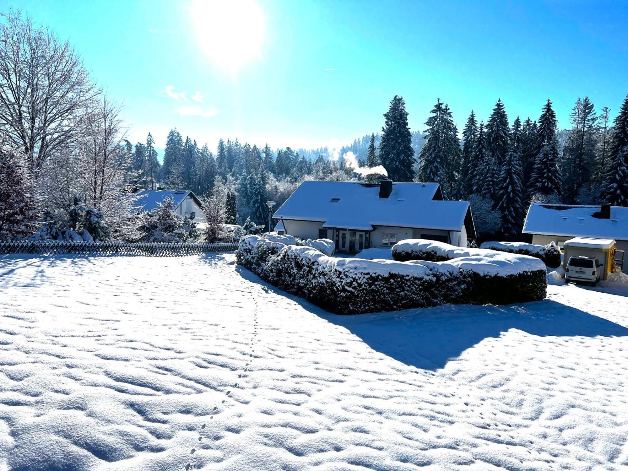 Michels Apartment Titisee-Neustadt Bagian luar foto